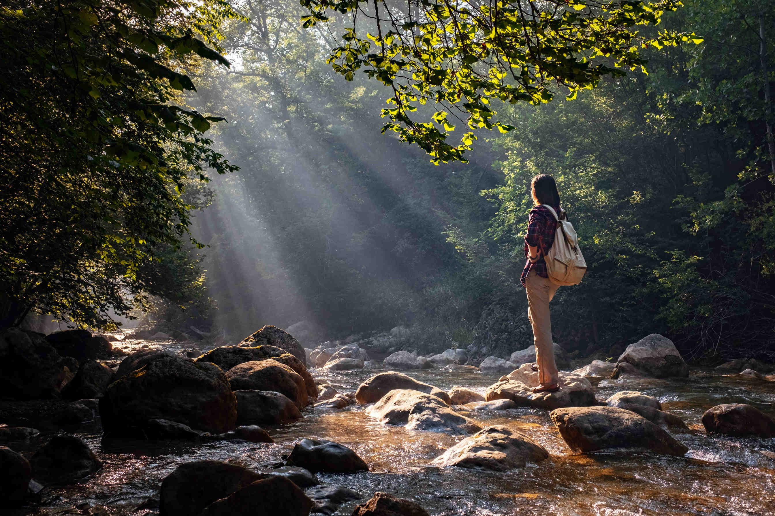 Le slow tourisme en France: une aubaine pour la biodiversité