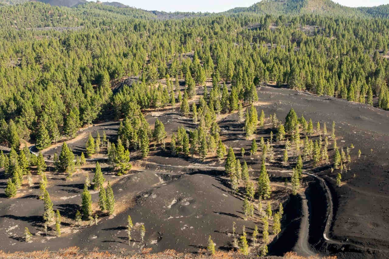 La tutela della biodiversità e le nuove politiche ambientali