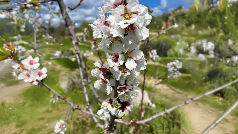 3bee-blog-impatti-positivi-misurabili-dati-e-risultati