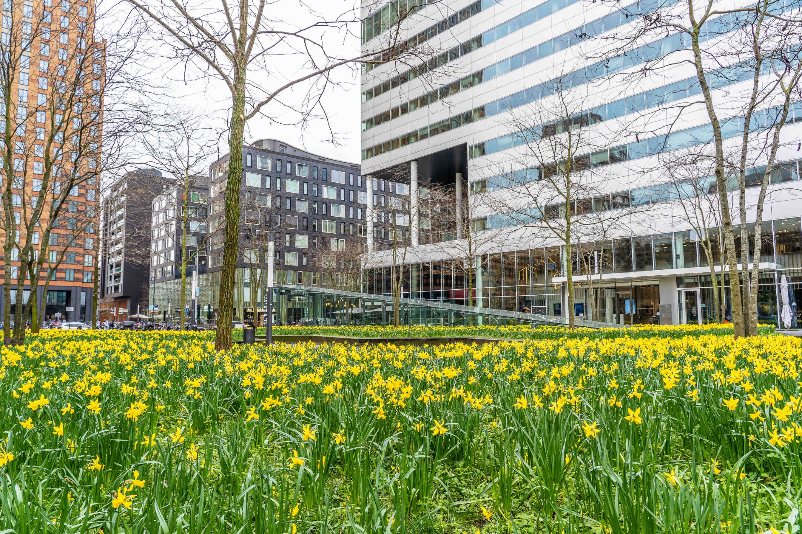 biodiversity city