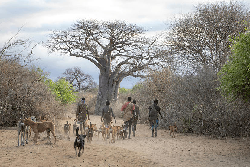 Popolo Hadza