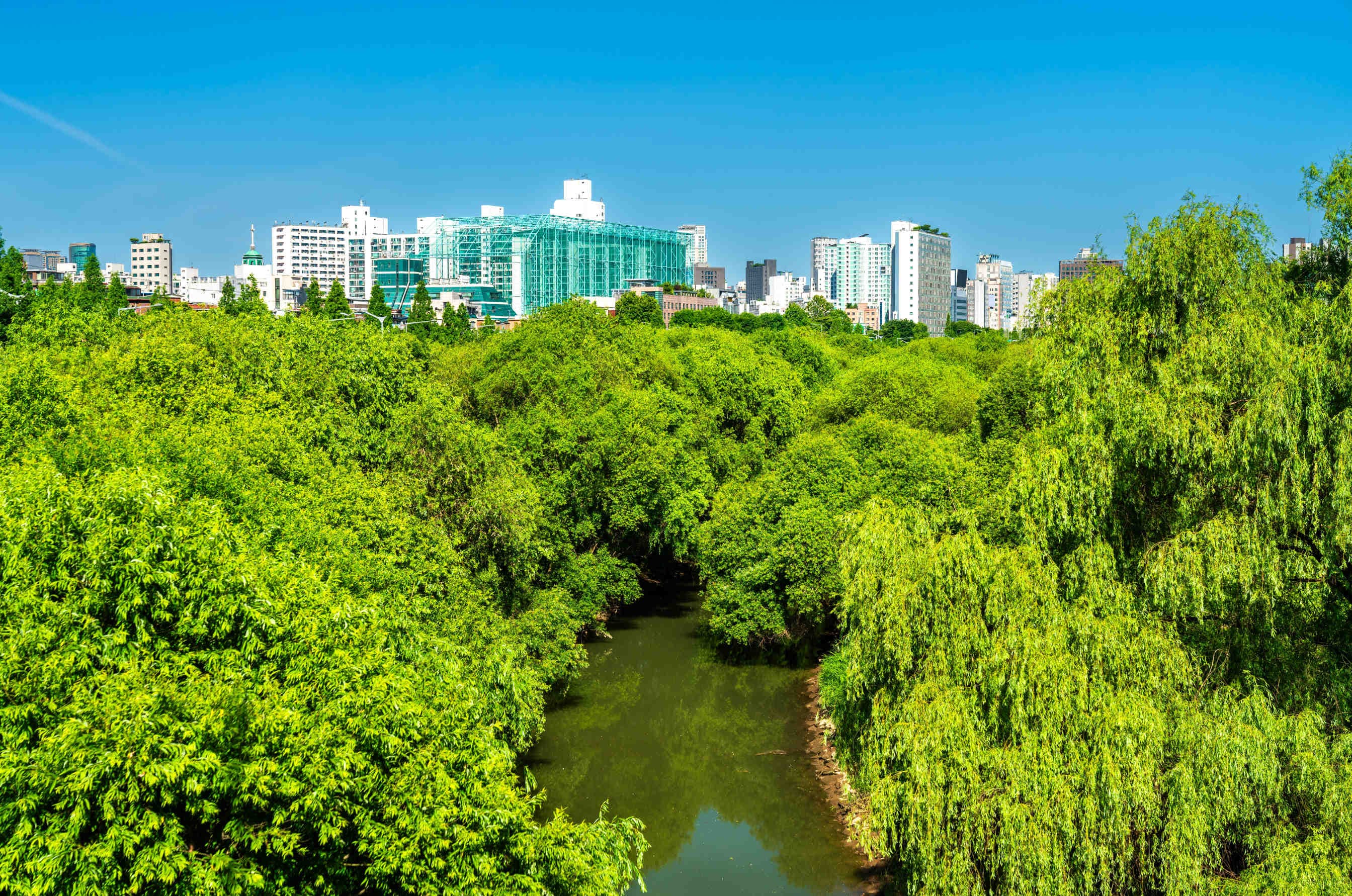 parco urbano