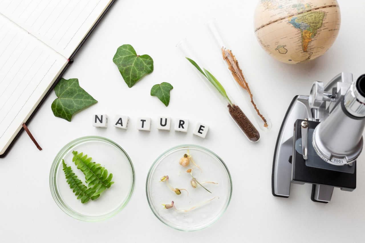 Sostanze chimiche: impatti sulla biodiversità