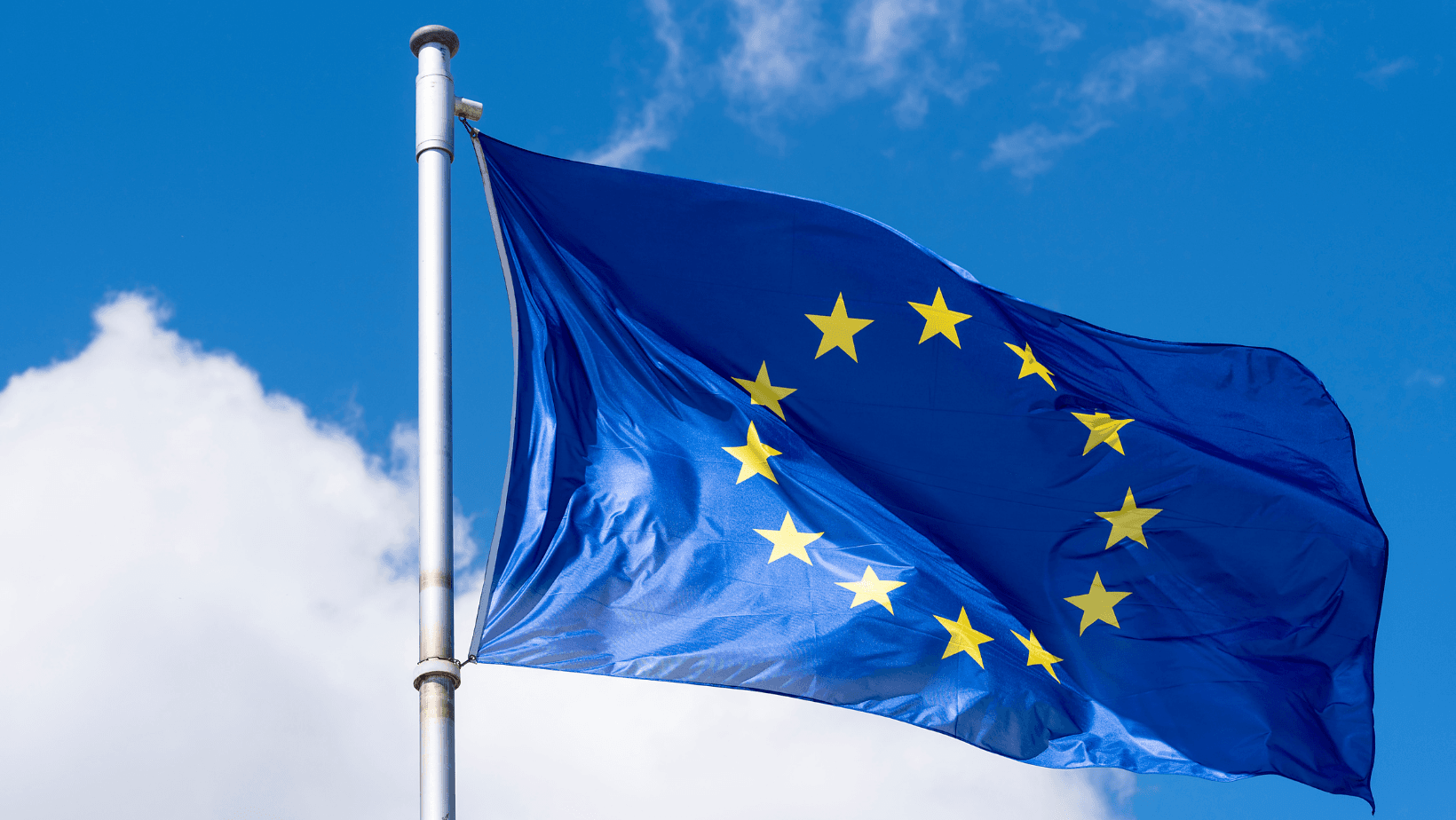 Controlli coordinati a livello europeo