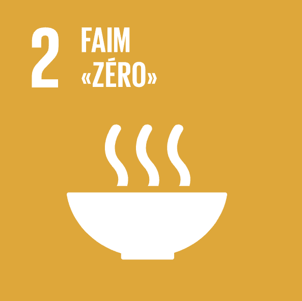 ODD n°2 : Éliminer la faim et la malnutrition