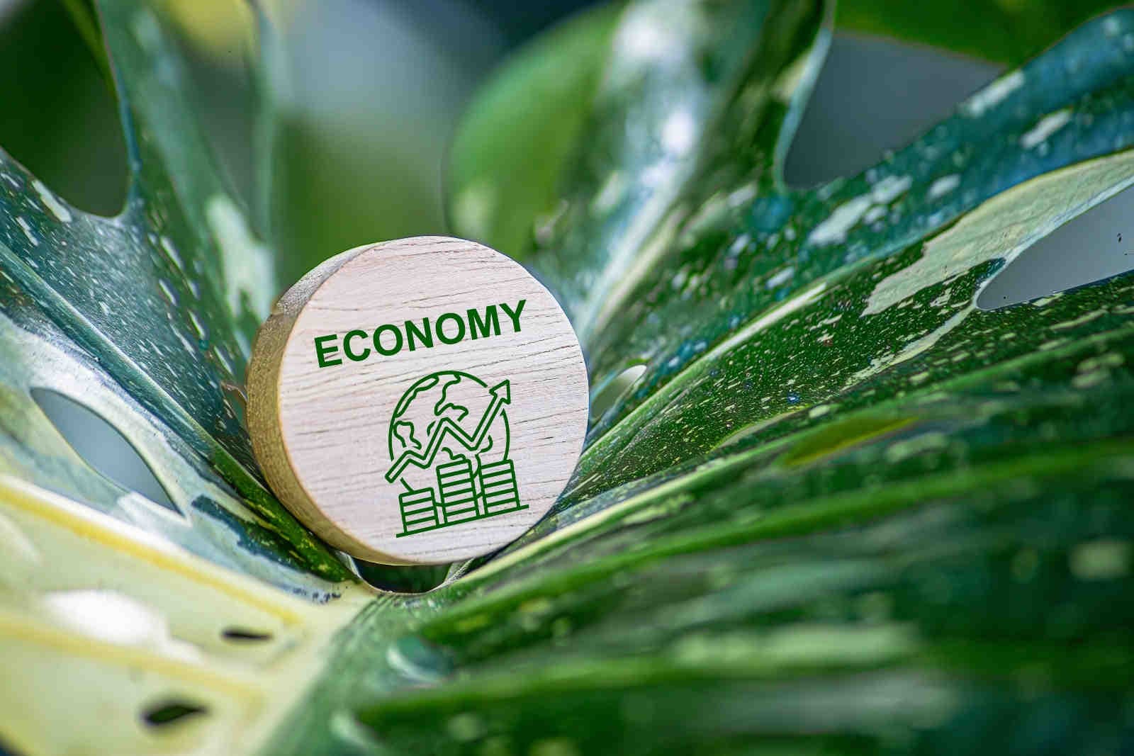 Come scegliere un provider ESG per la tua azienda