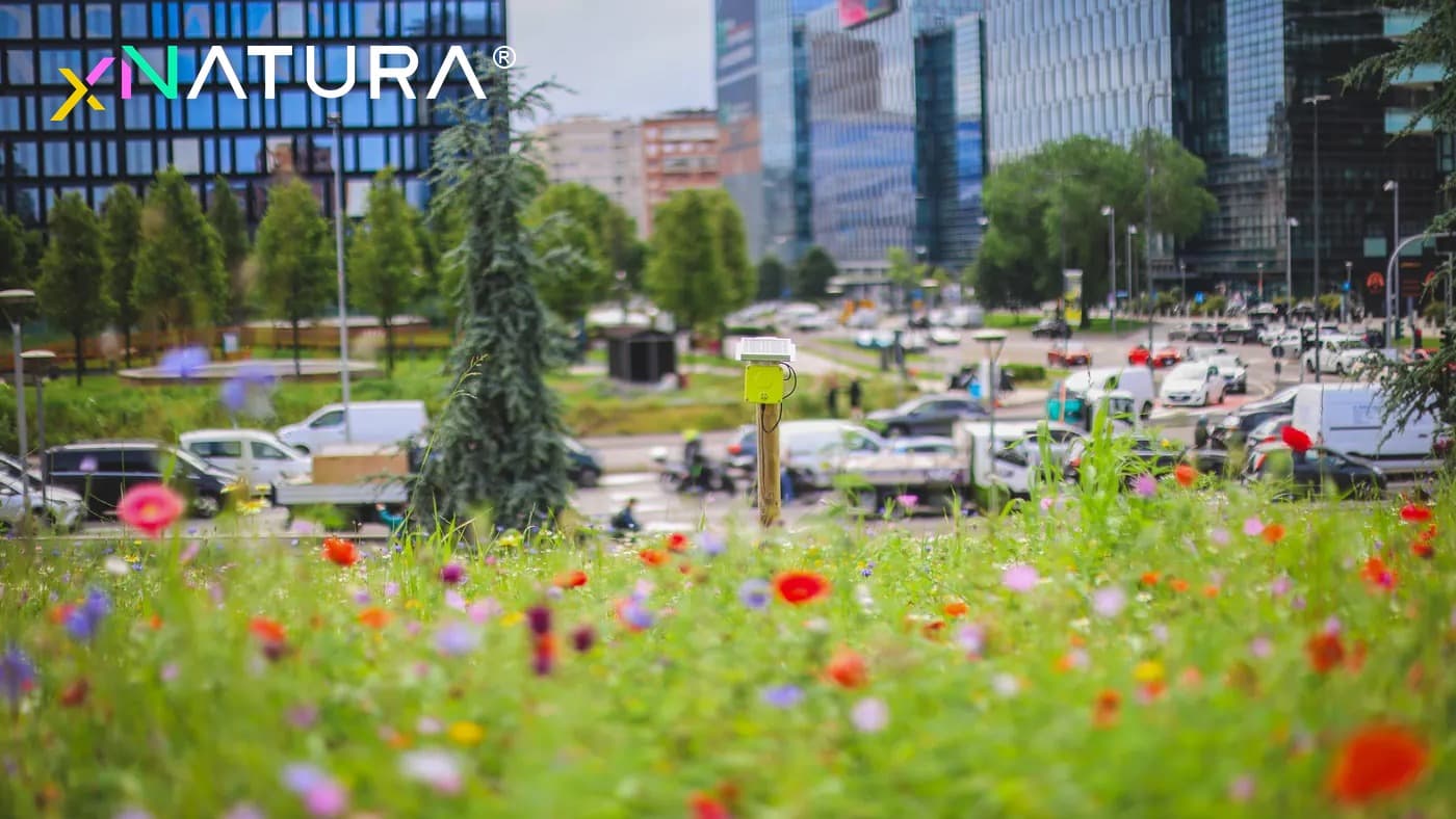 XNatura®: satelliti e sensori, tutta la tecnologia di 3Bee
