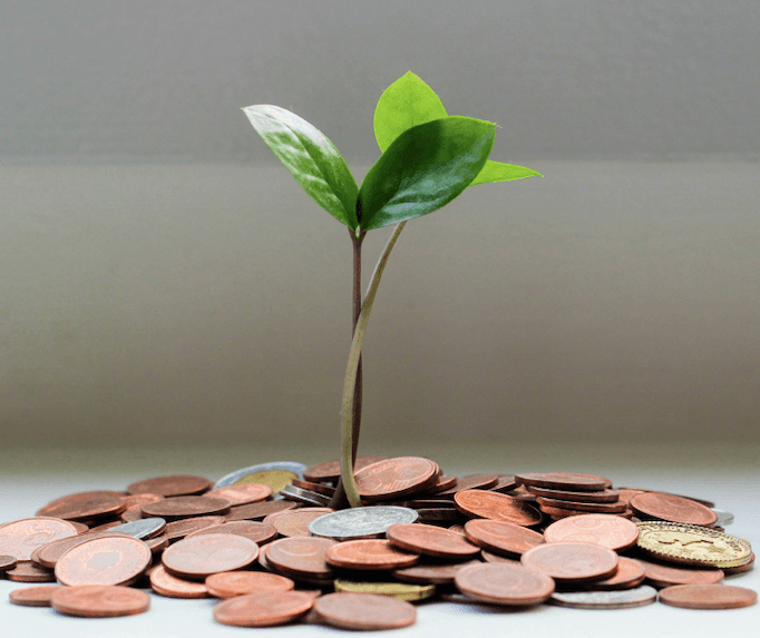 A sprout surrounded by coins