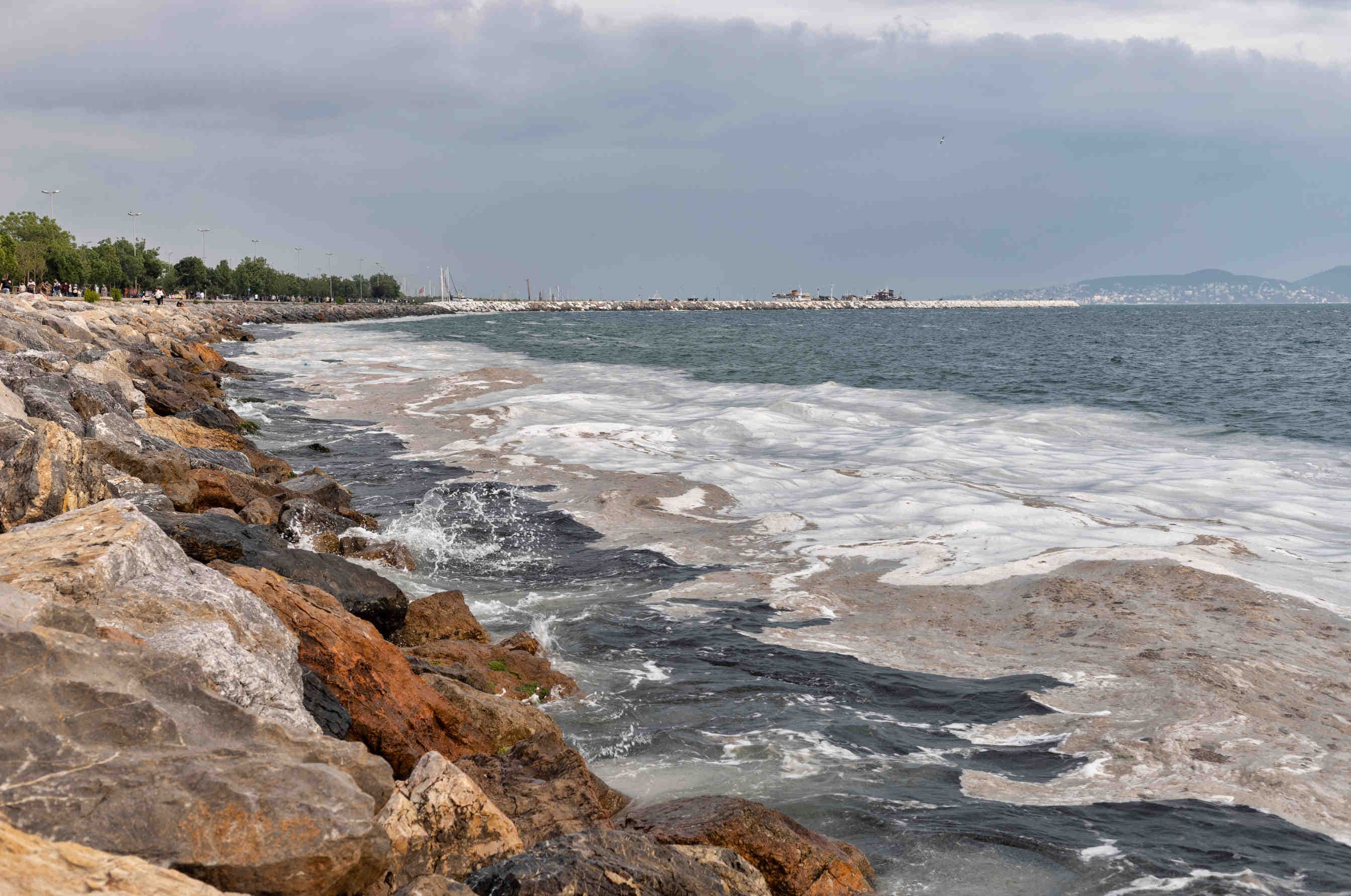 mare mucillagini
