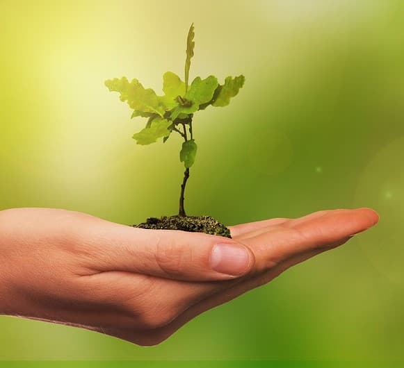 Transizione green