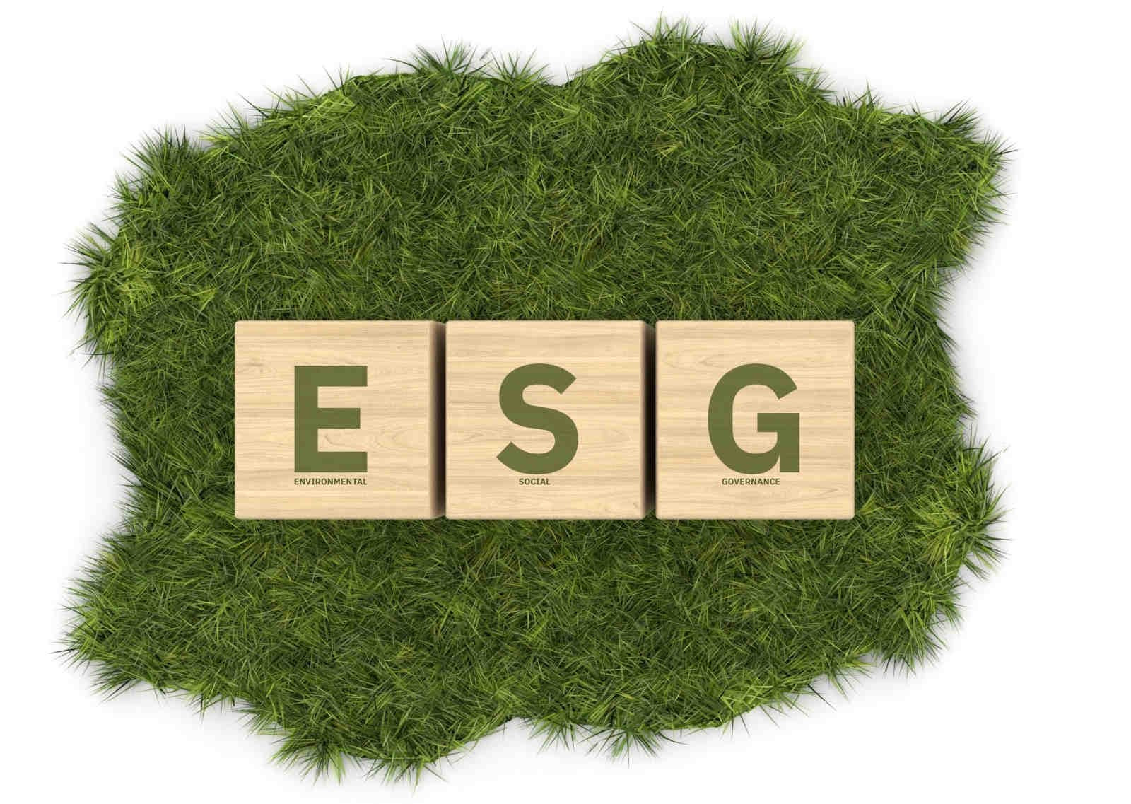 Obblighi-per -le-imprese-cosa-prevede-ESRS-E4