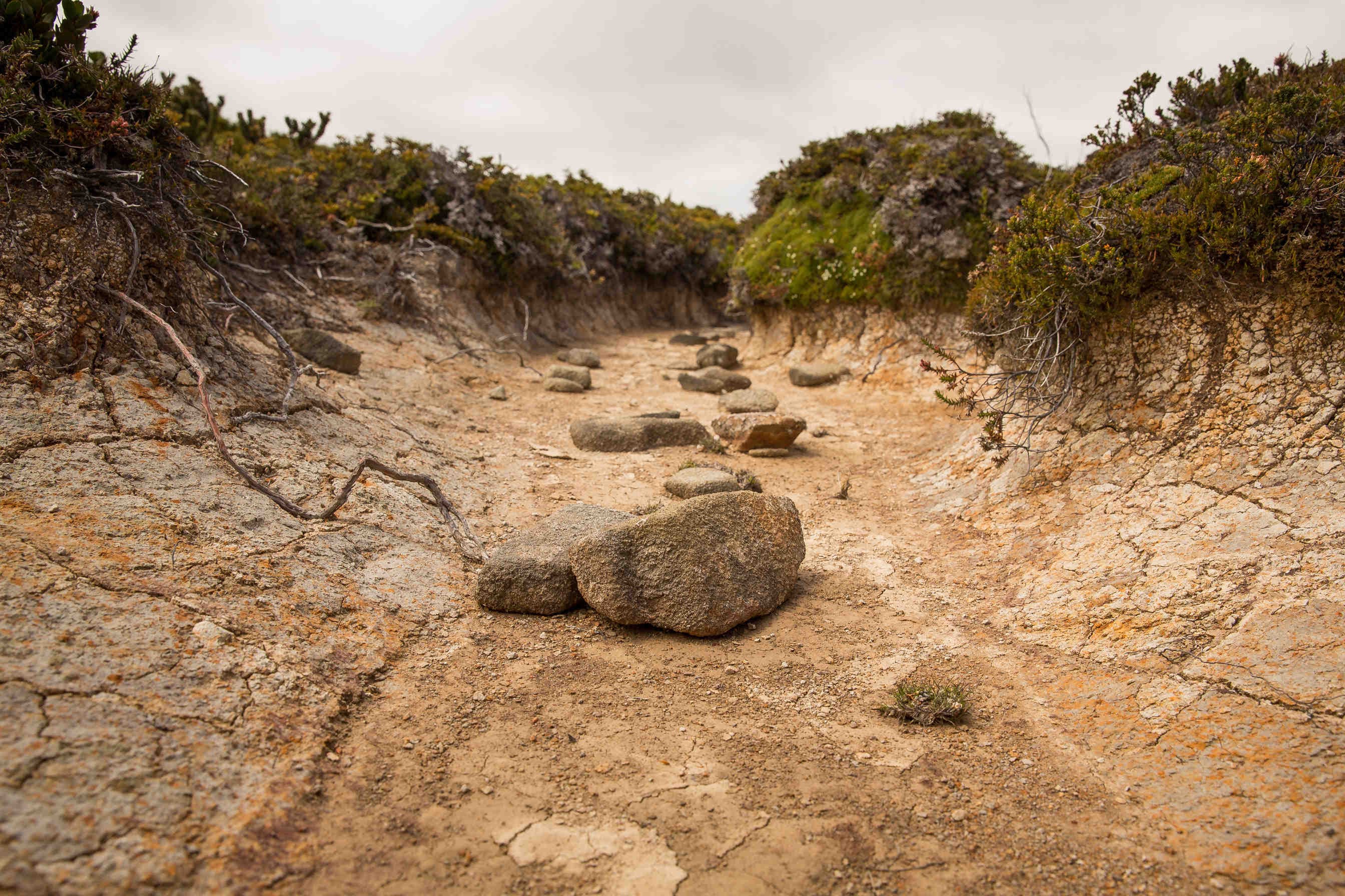 Les "pierres de la faim" réapparaissent après plus de 500ans