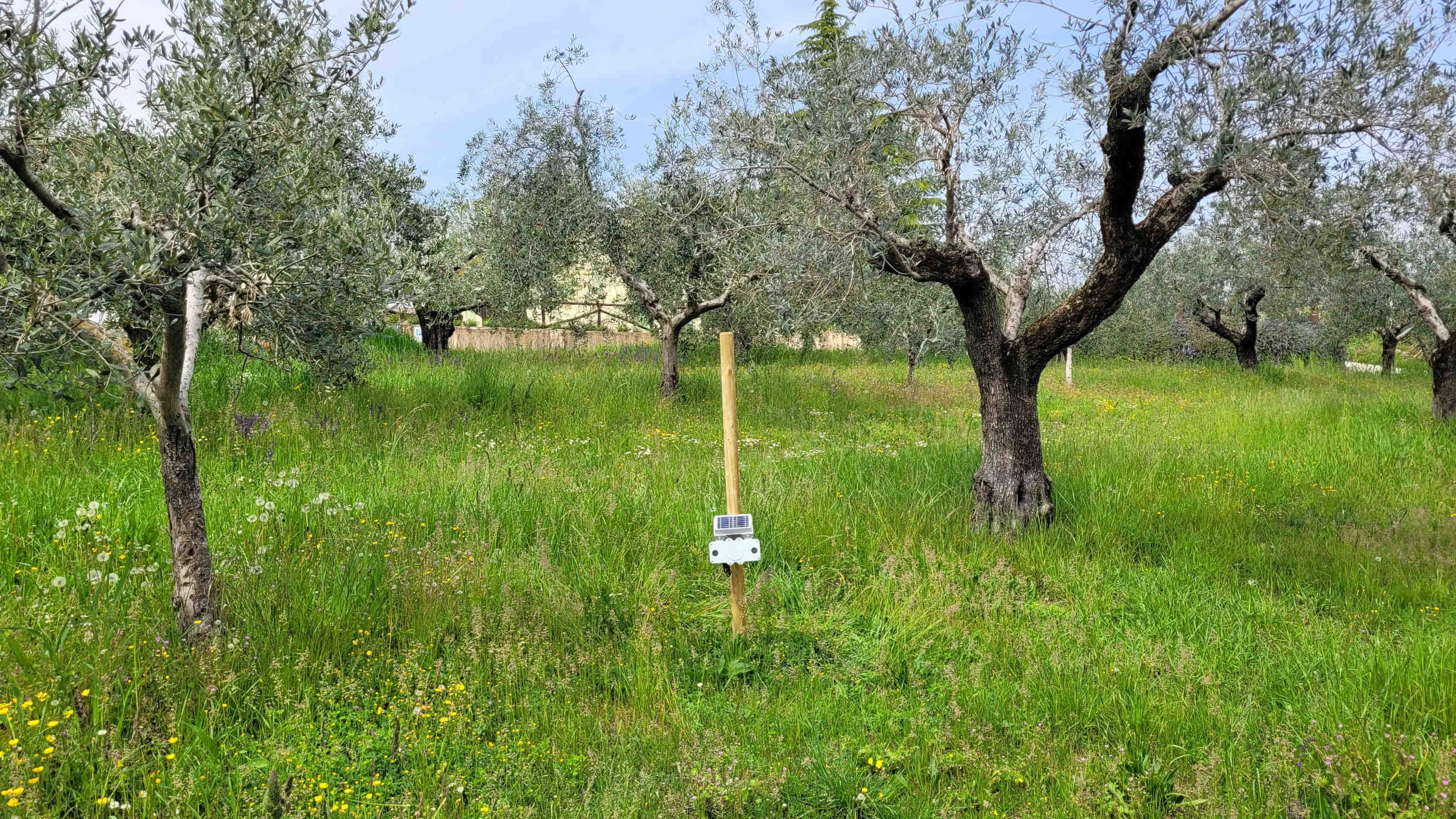 Spectrum tenuta Costa Arente