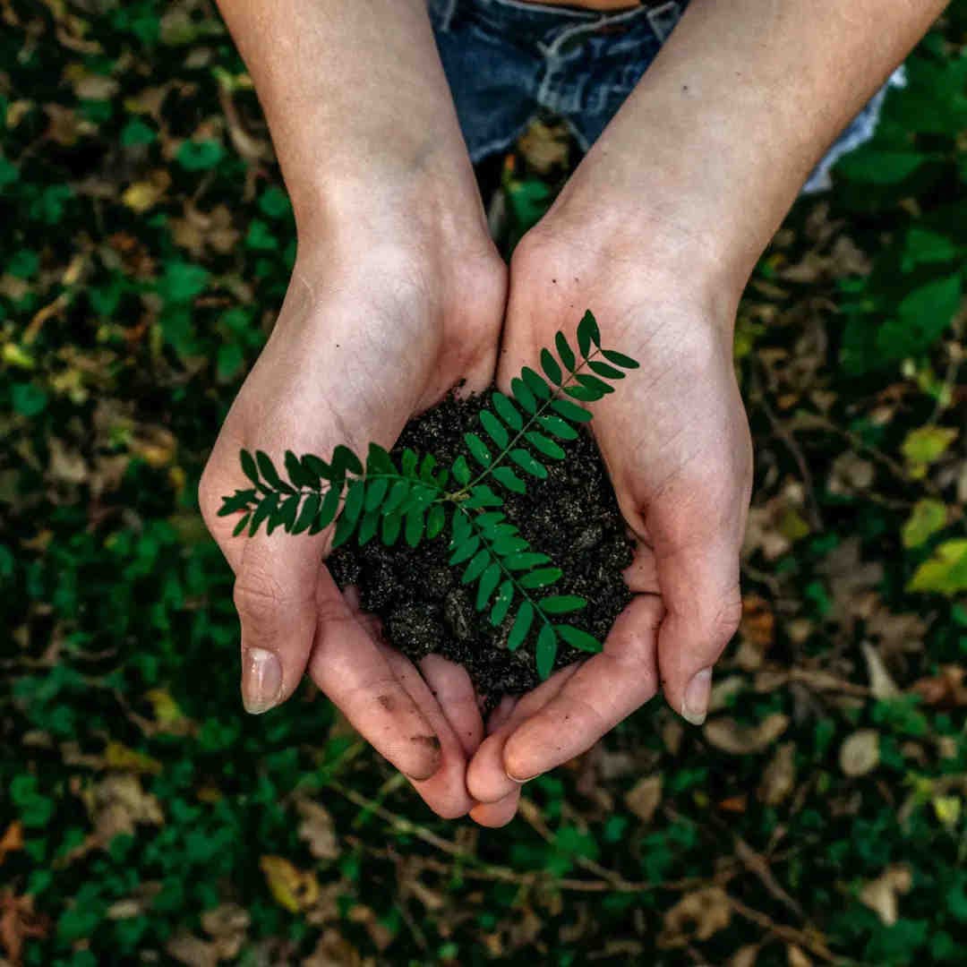 How 3Bee contributes to the protection of biodiversity