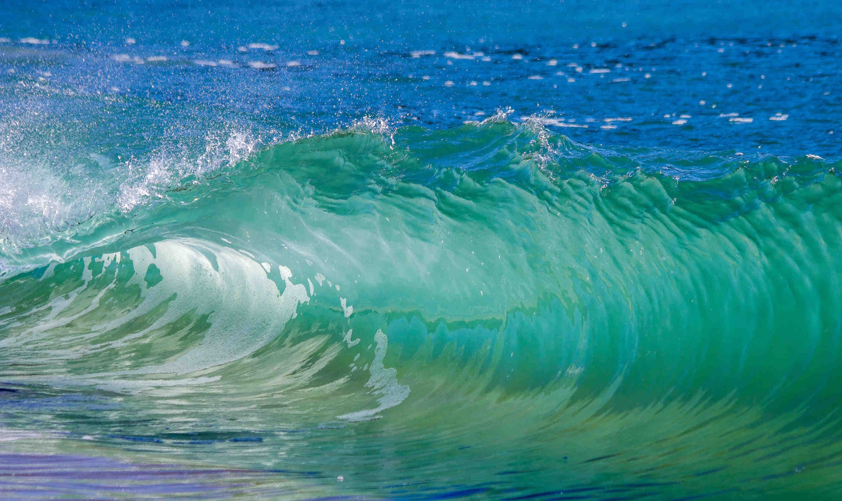 oceano verde