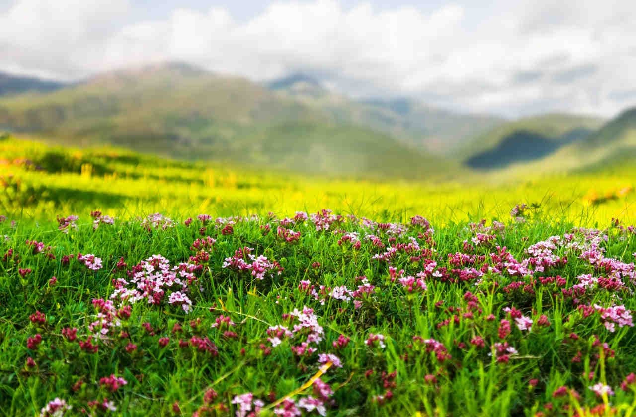 Come rendicontare la biodiversità con XNatura