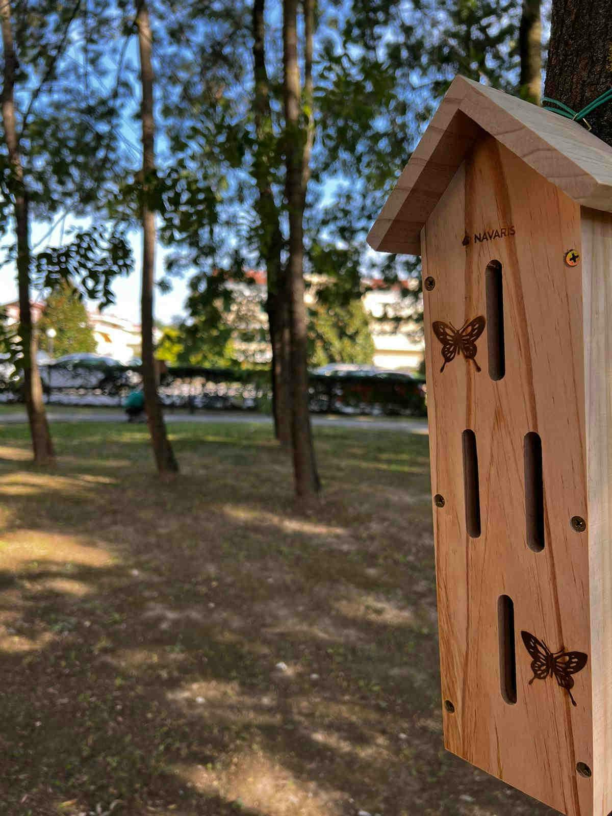 casette api solitarie casa di riposo