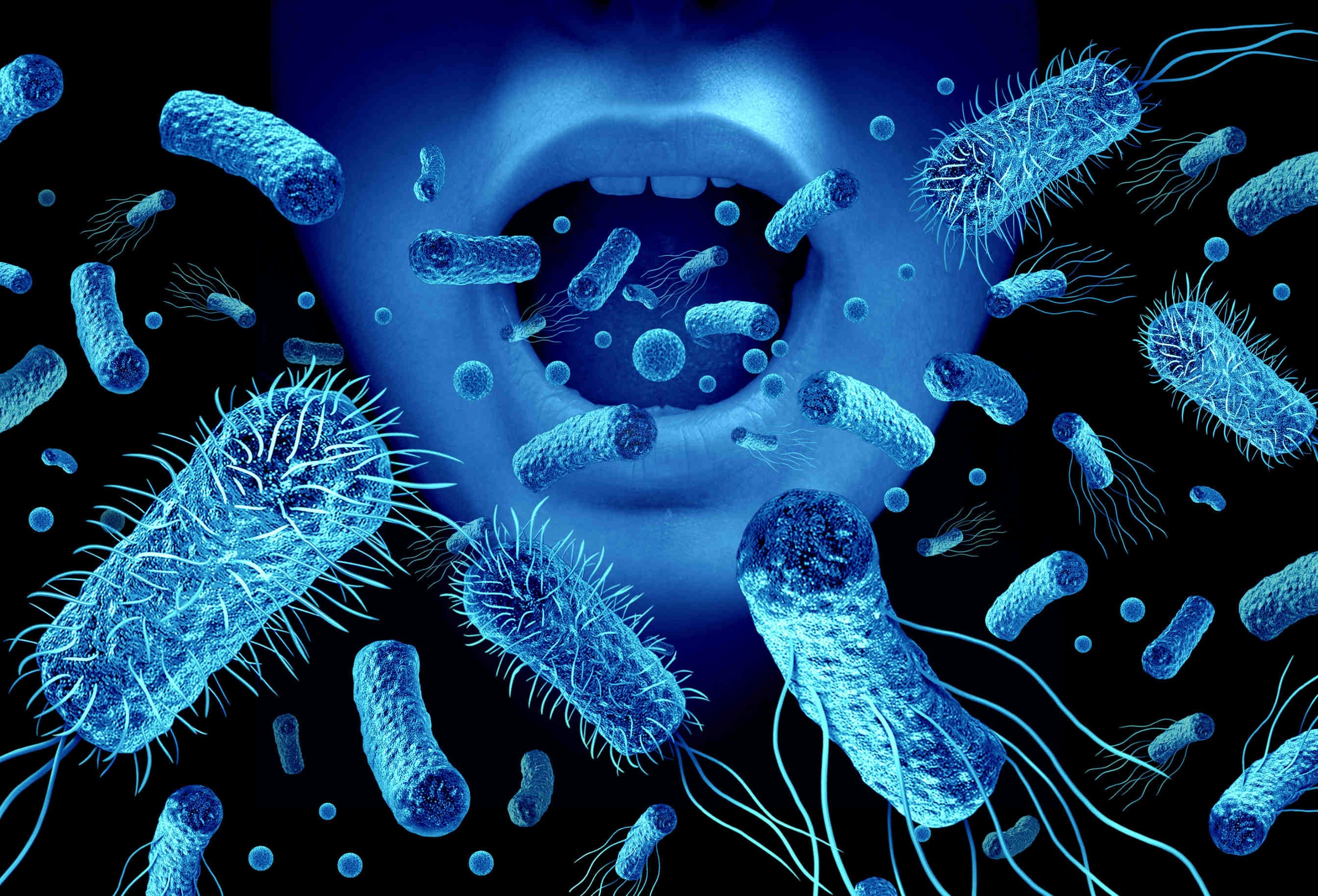 Alterazione del microbiota degli impollinatori