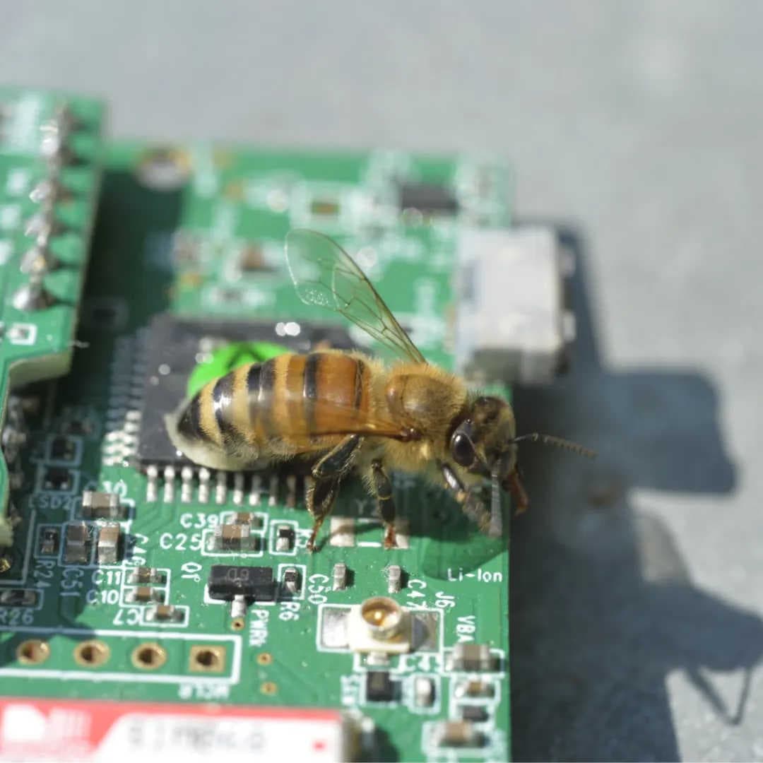 Nachhaltigen Entwicklung durch einen datengestützten Ansatz