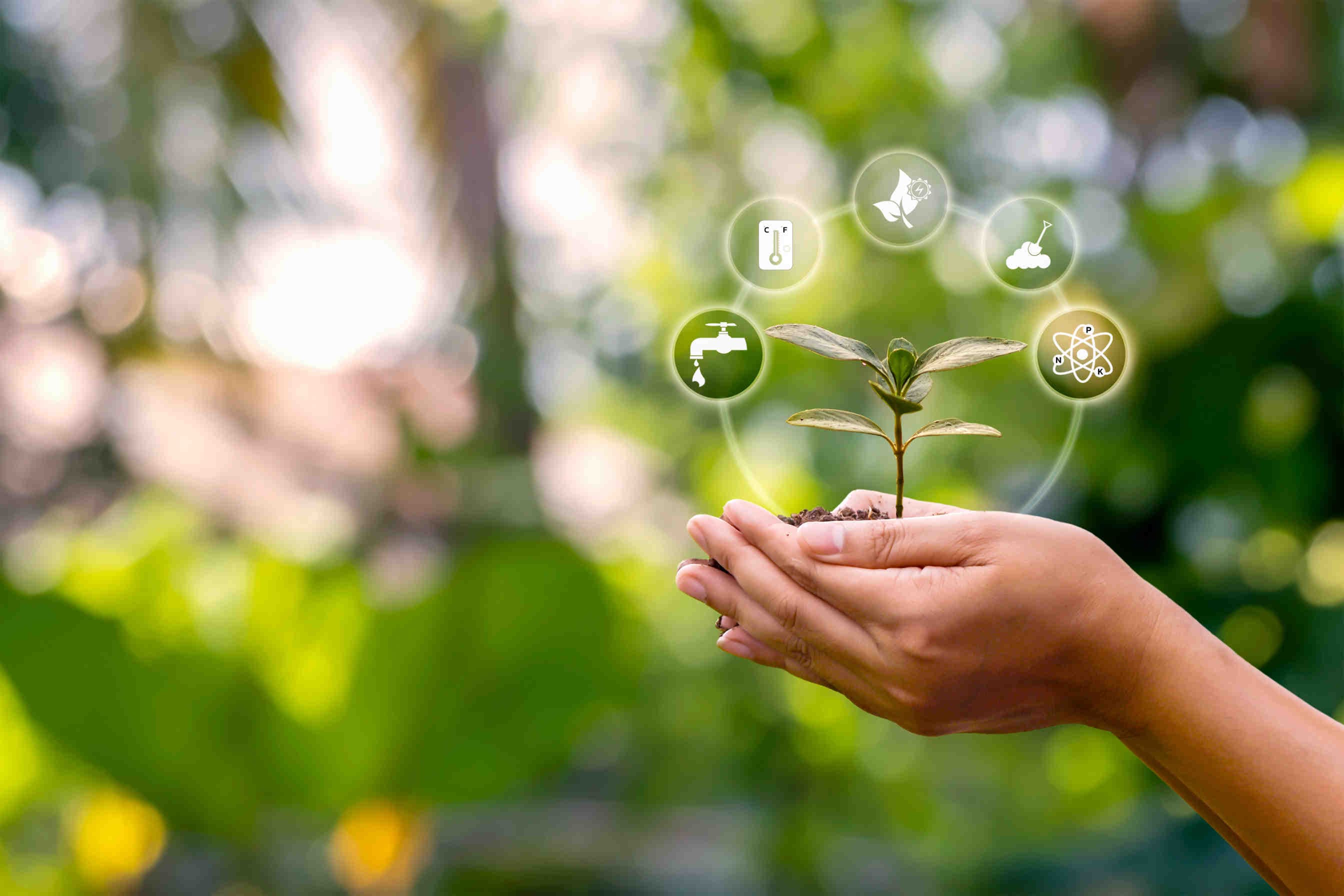 Rapports sur le développement durable : indicateurs GRI, SASB et ESRS
