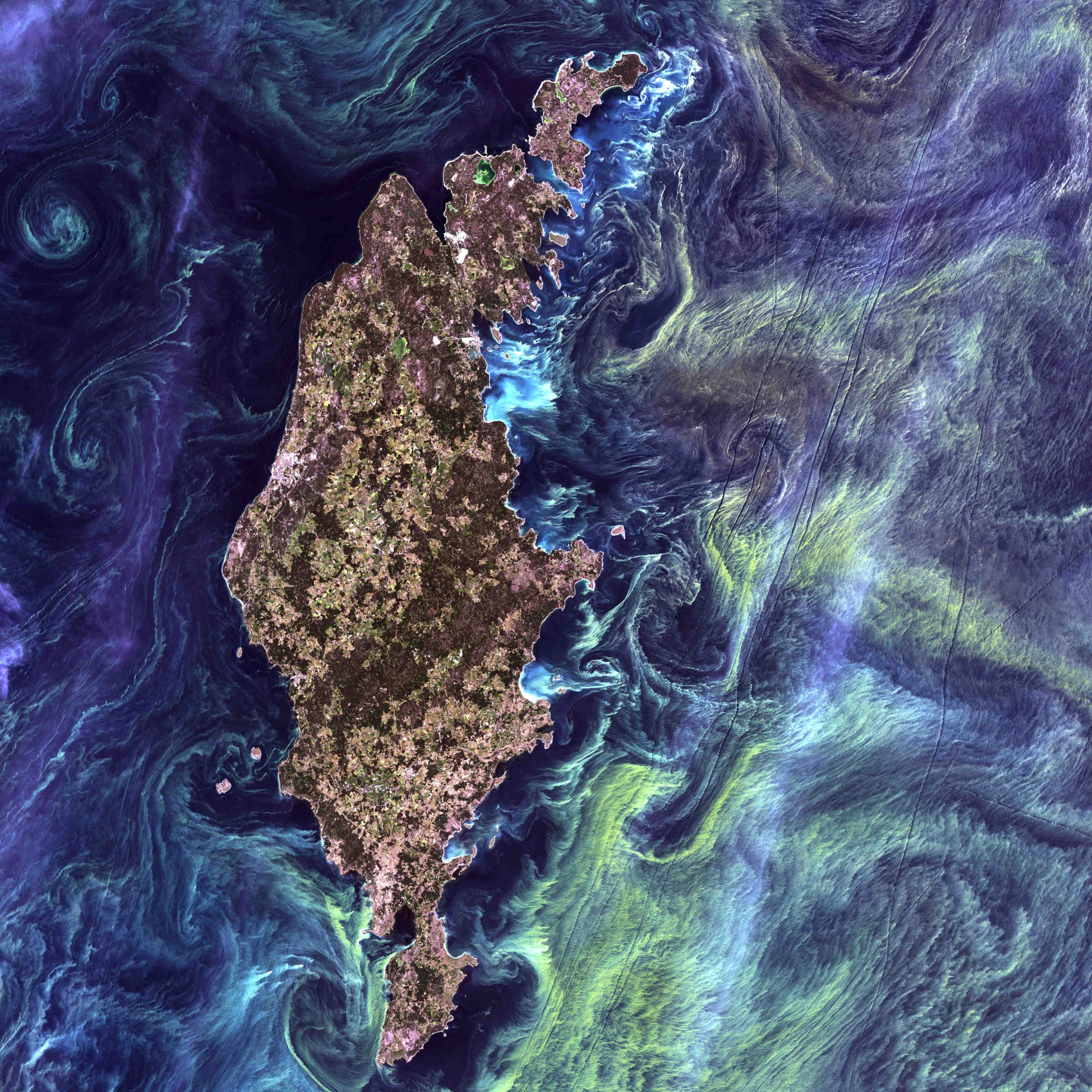 mappe monitoraggio satellite 3bee esa