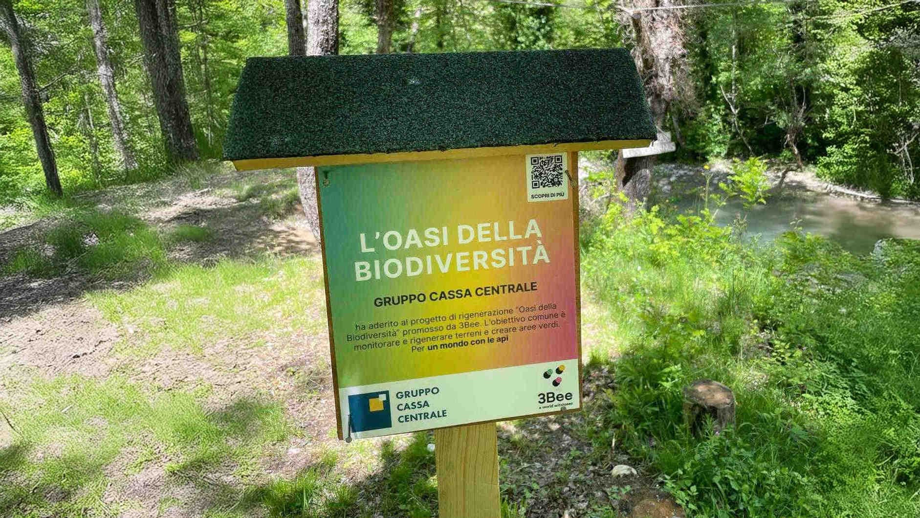 3bee-blog-oasi-biodiversita-3bee-progetto-con-impatto-locale