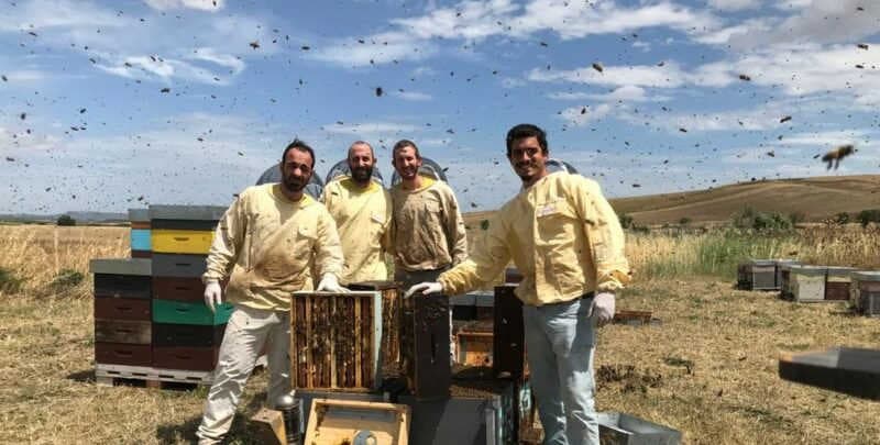 Adopt a Beehive in Apulia