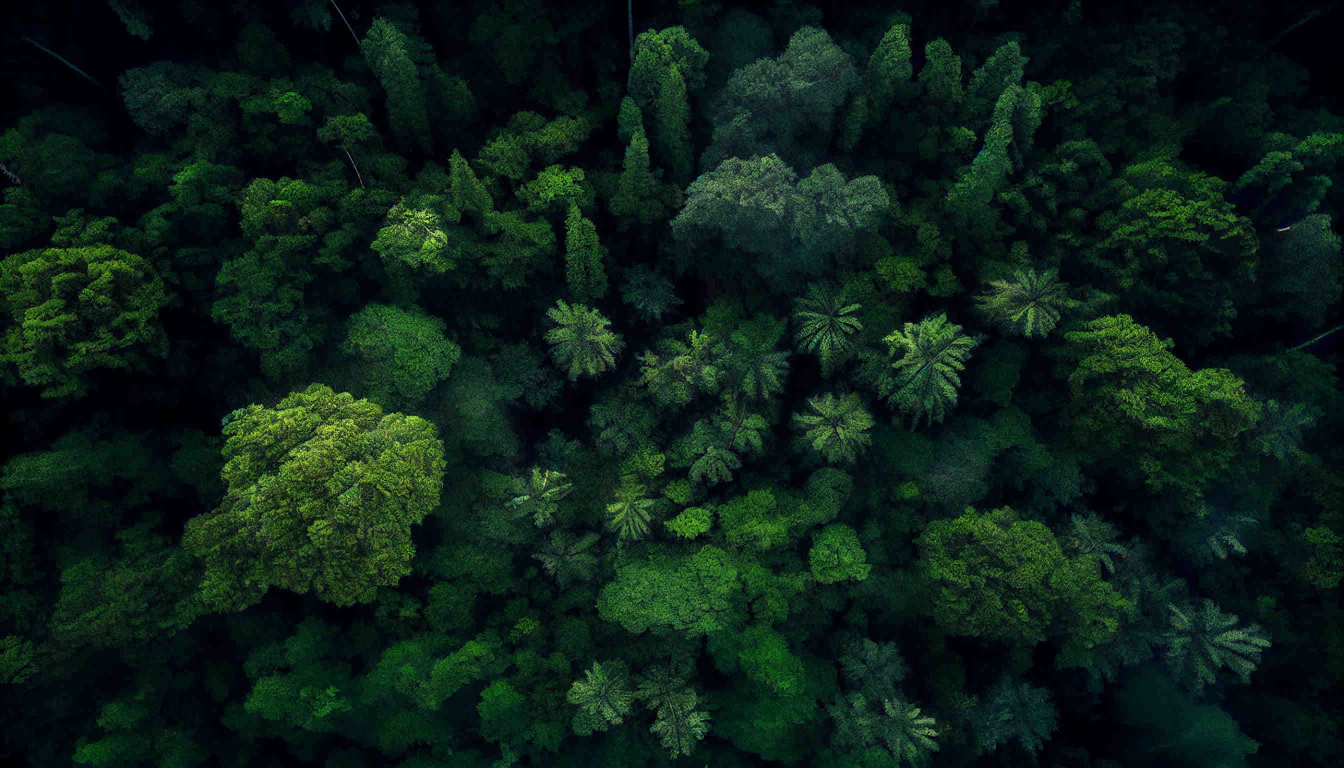 strategie biodiversità