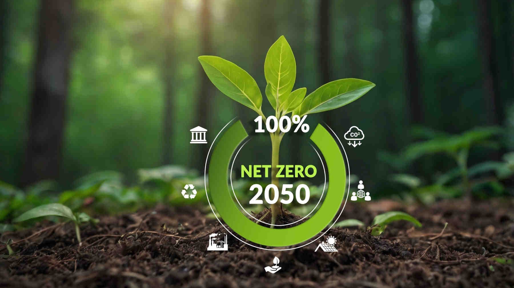Obiettivi Net-Zero e SBTi nella strategia aziendale