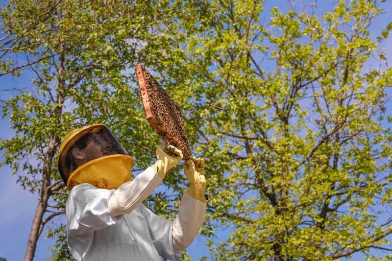 Borgo Il Mezzanino, a special place for beekeeping