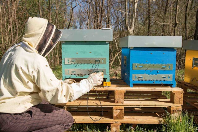 Im Bienenstock im Oktober und November: Was macht der Imker?
