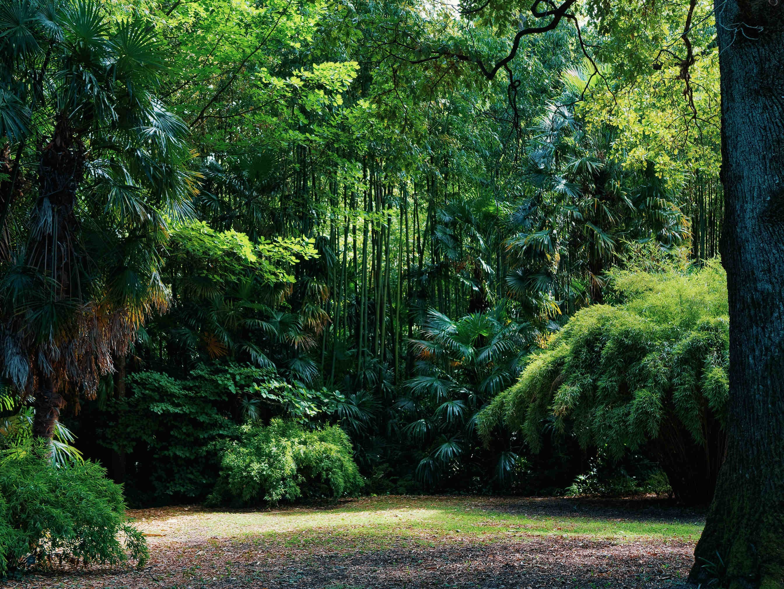Pourquoi la biodiversité est importante pour l’environnement
