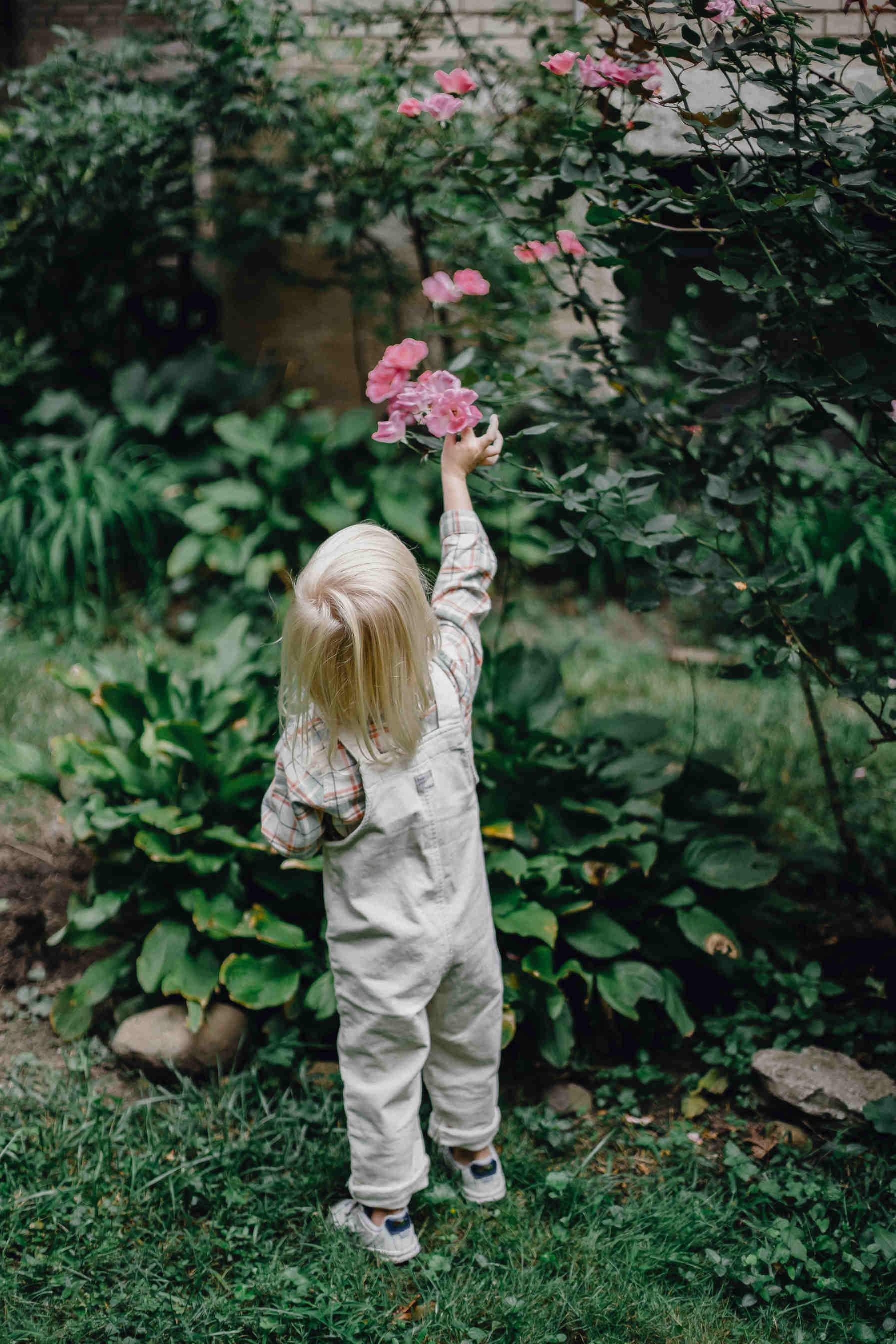 Den Kindern die Bedeutung der biologischen Vielfalt erklären