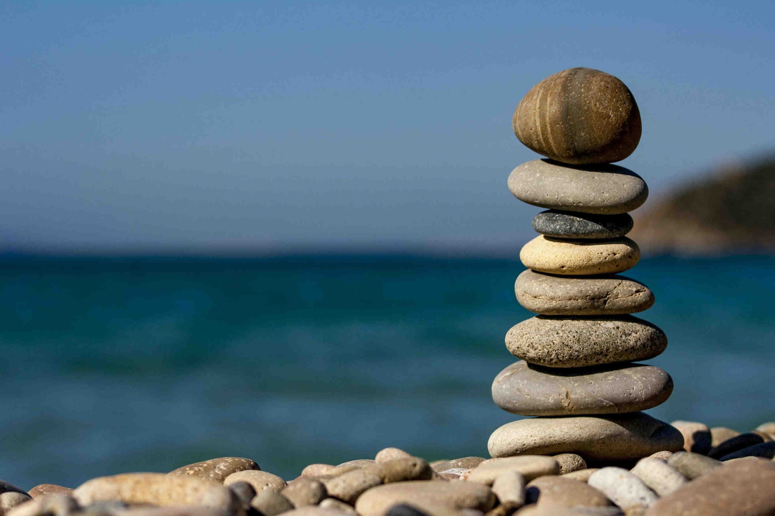 equilibrio ecosistemico