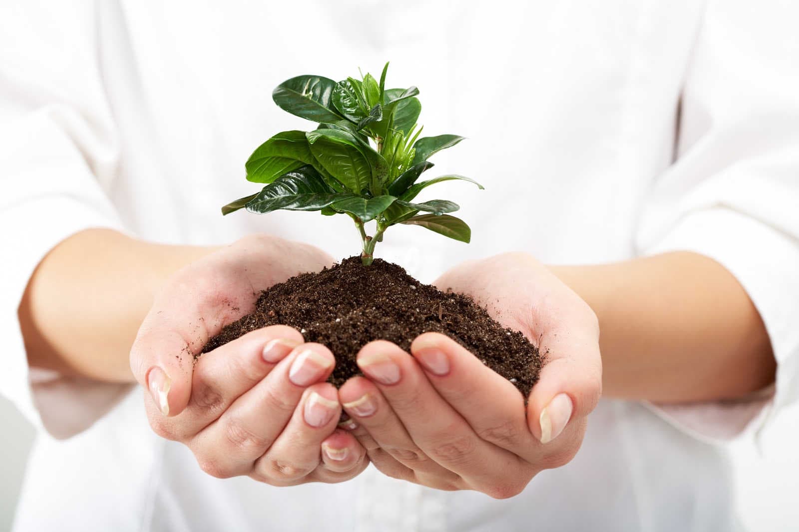 Fase 3: Confronto con alternative di progetto