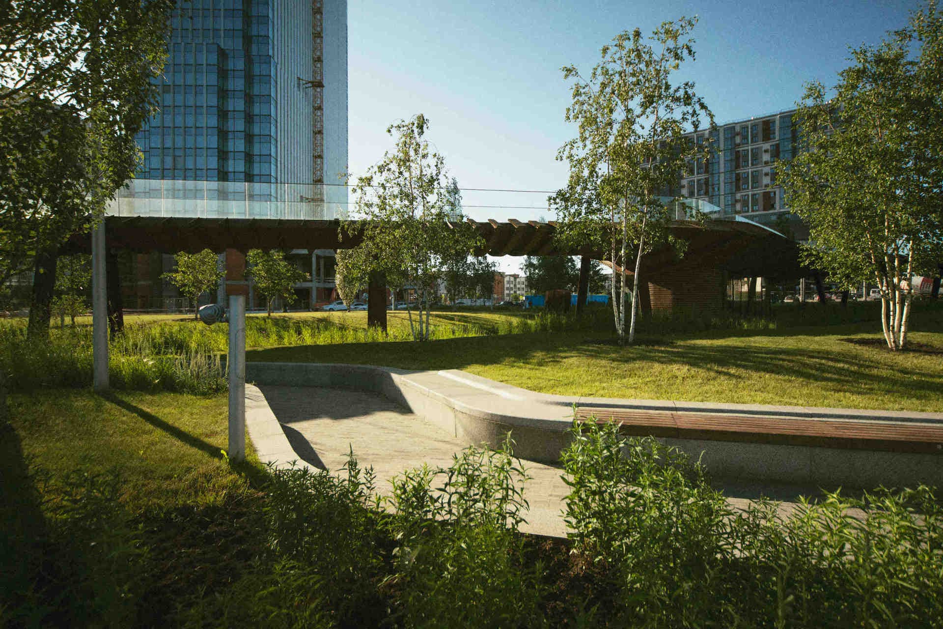 Warum ist die Biodiversität in urbanen Räumen so wichtig?