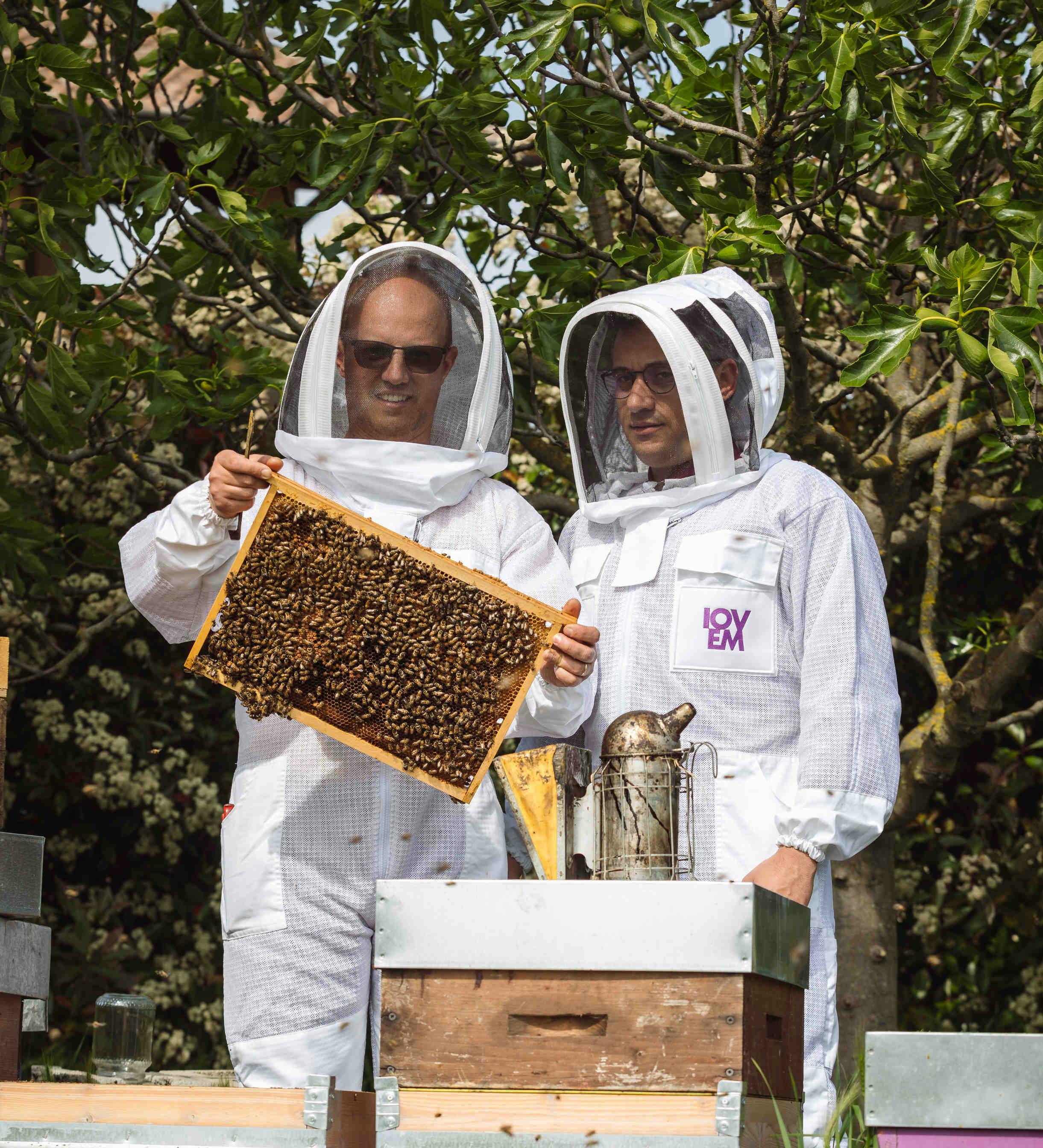 esperienza in apiario 3Bee