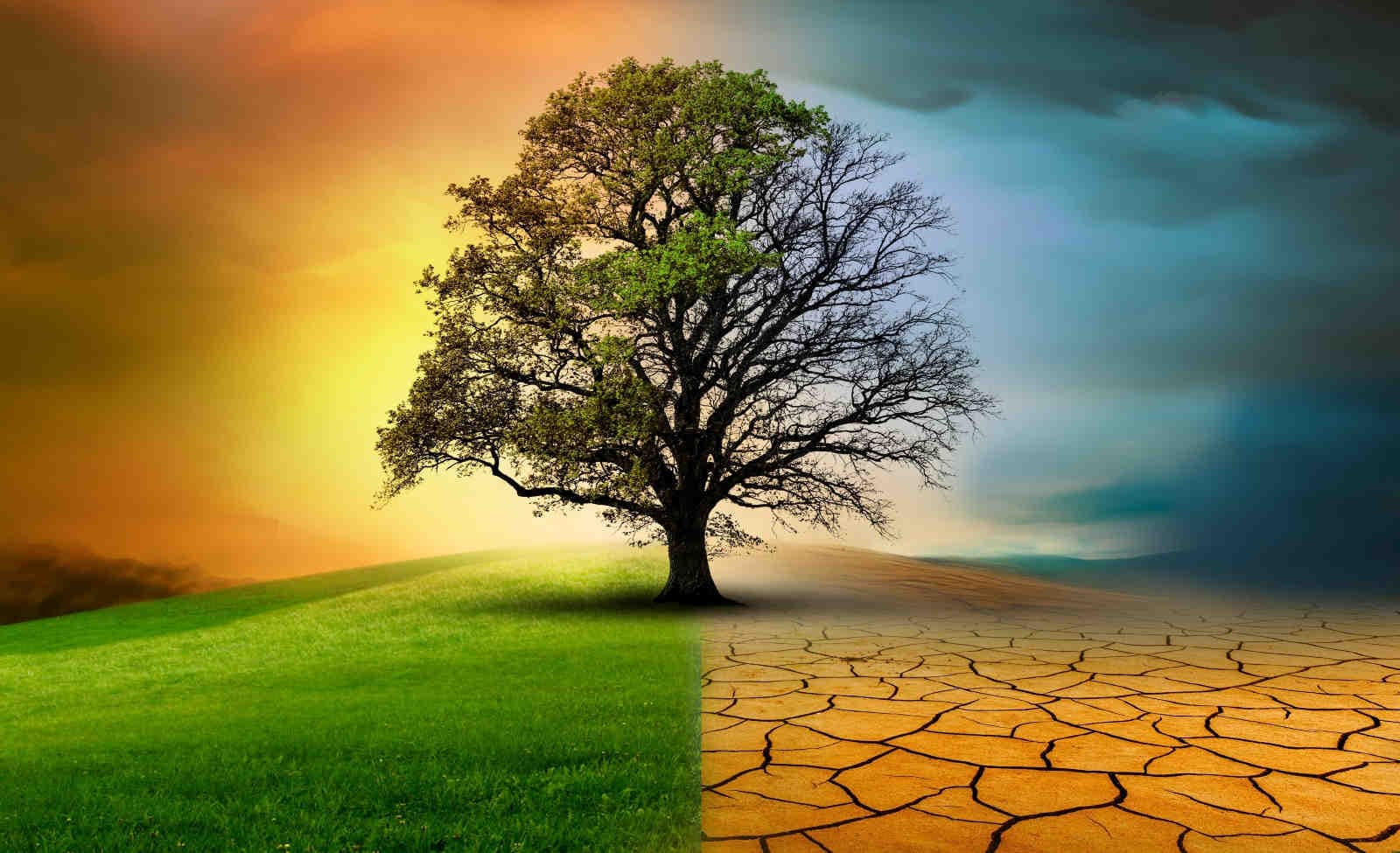Australia: ondate di calore e alluvioni aumentano i rischi