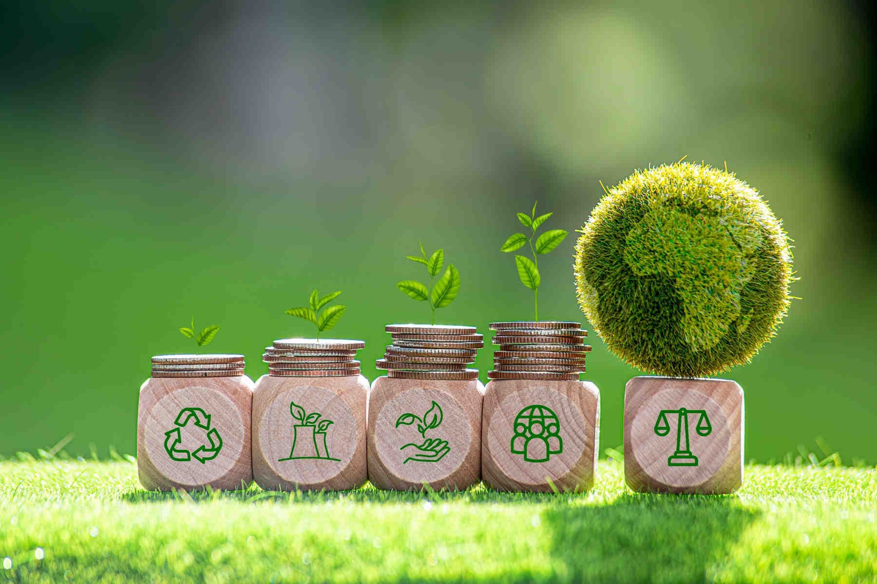 Investimenti ESG vs investimenti ambientali puri: cosa scegliere?