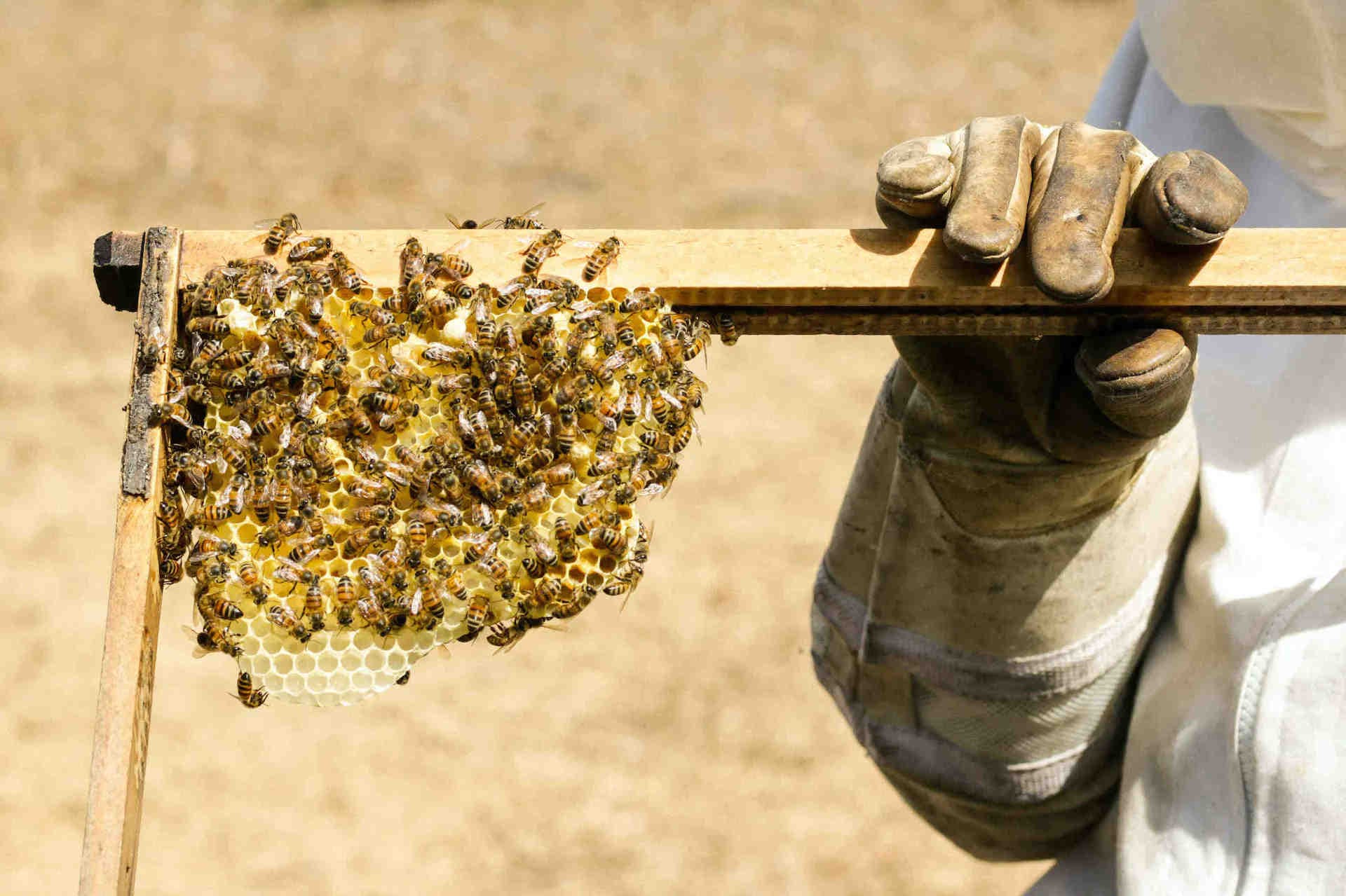 Dans quelle mesure est-il important de partager son impact ?