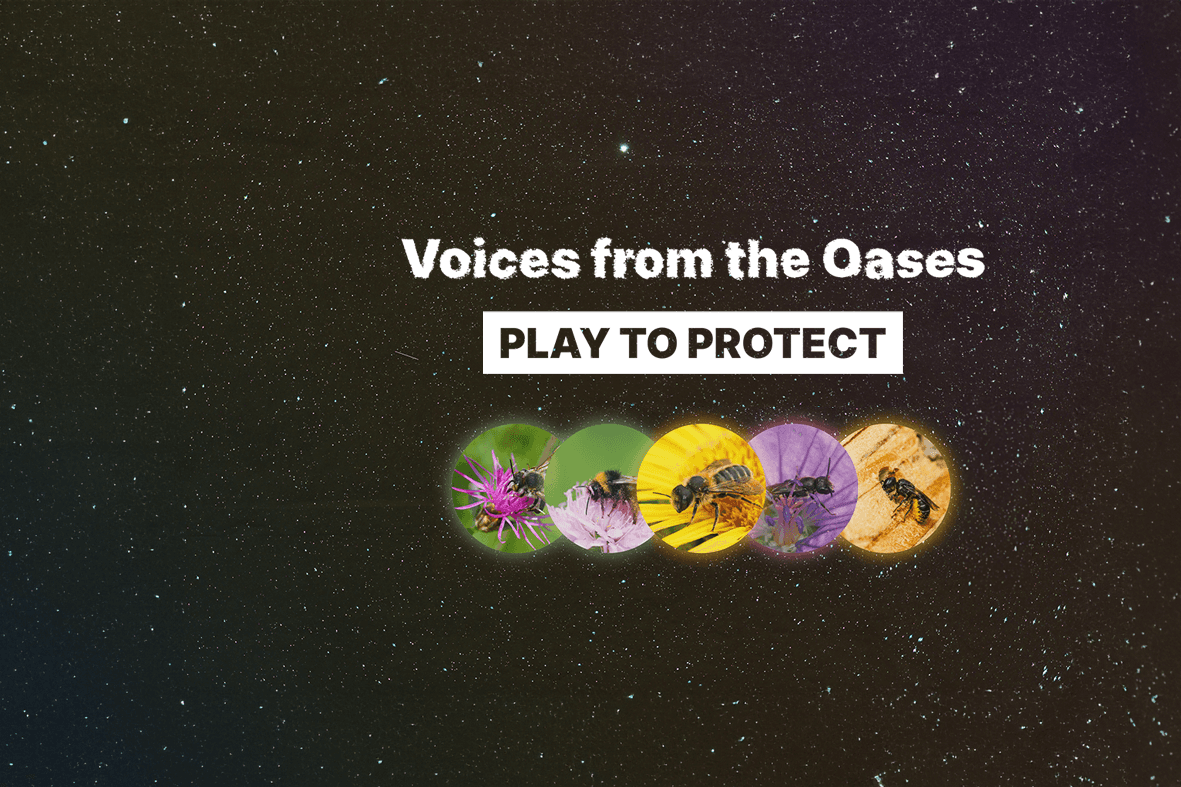 Voci dalle Oasi: la playlist degli impollinatori 3Bee