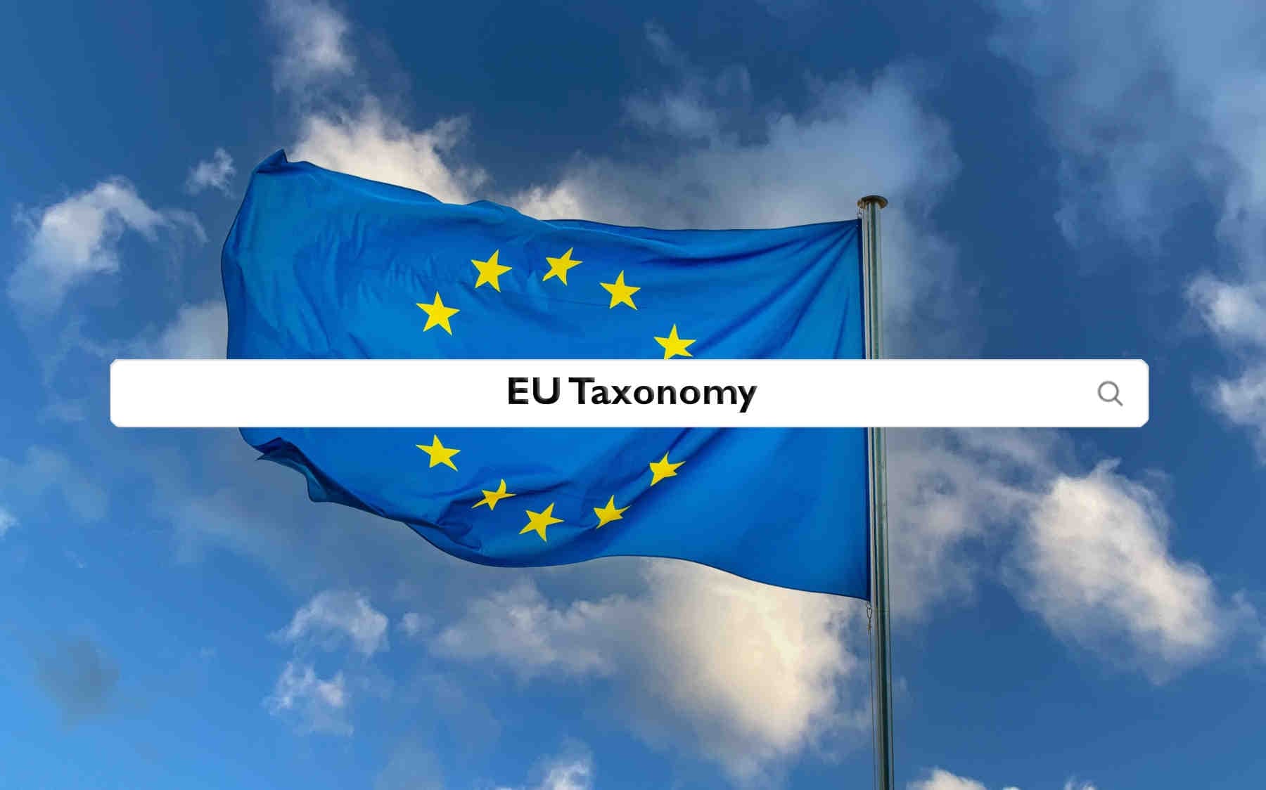 Tassonomia UE: cosa richiede per i progetti ambientali e naturali