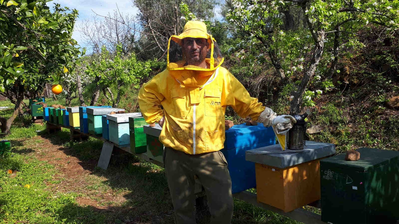 Adotta un alveare in Campania. Apicoltura Galati