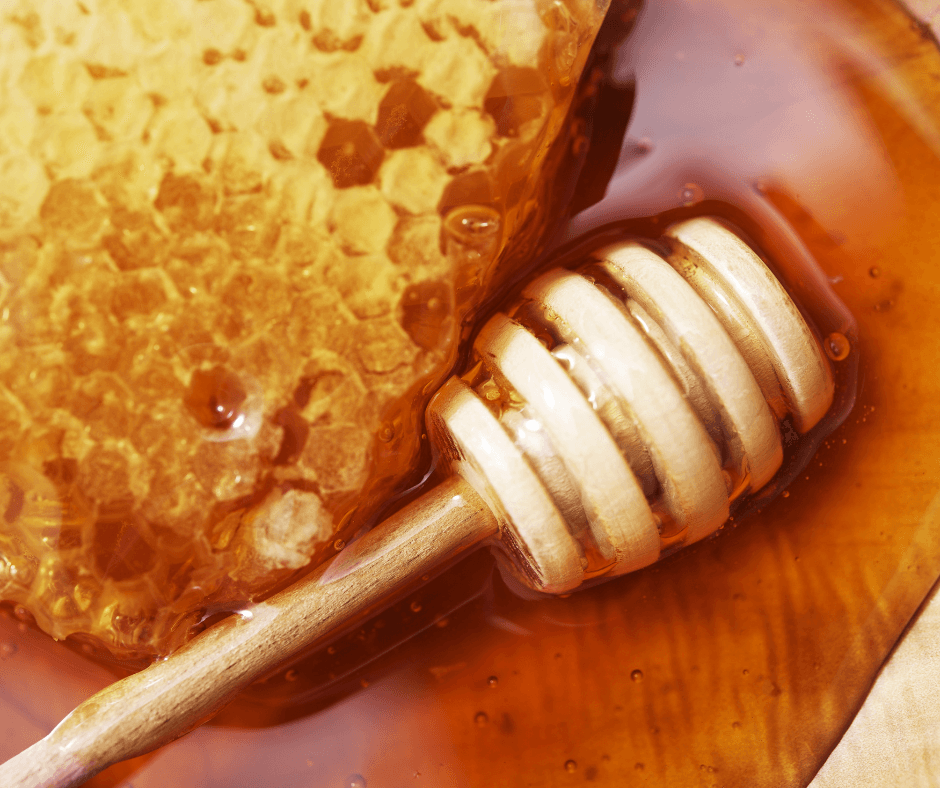 Honey extraction equipment