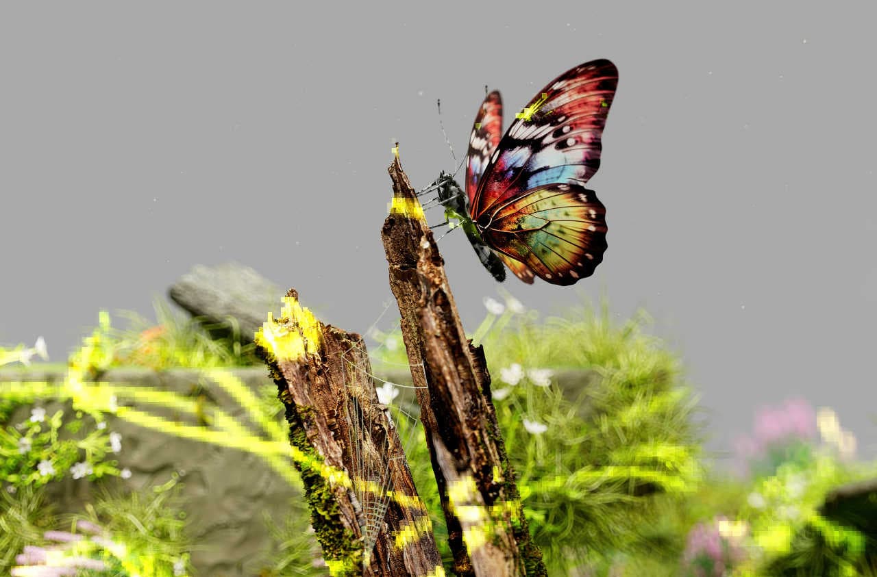 Misure urgenti per arrestare la perdita di biodiversità