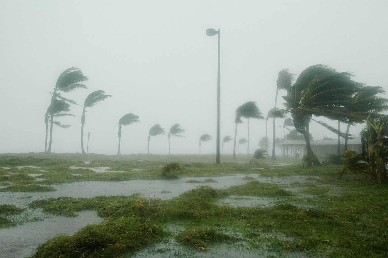 florida hurricane