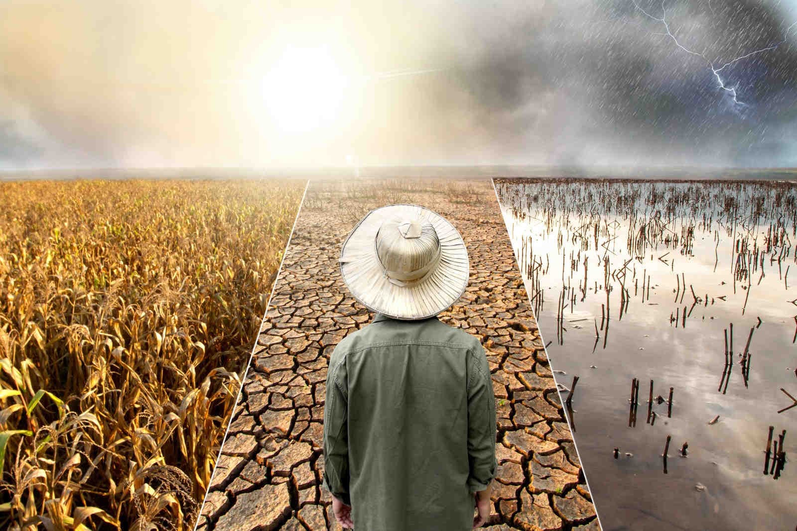 cambiamento climatico
