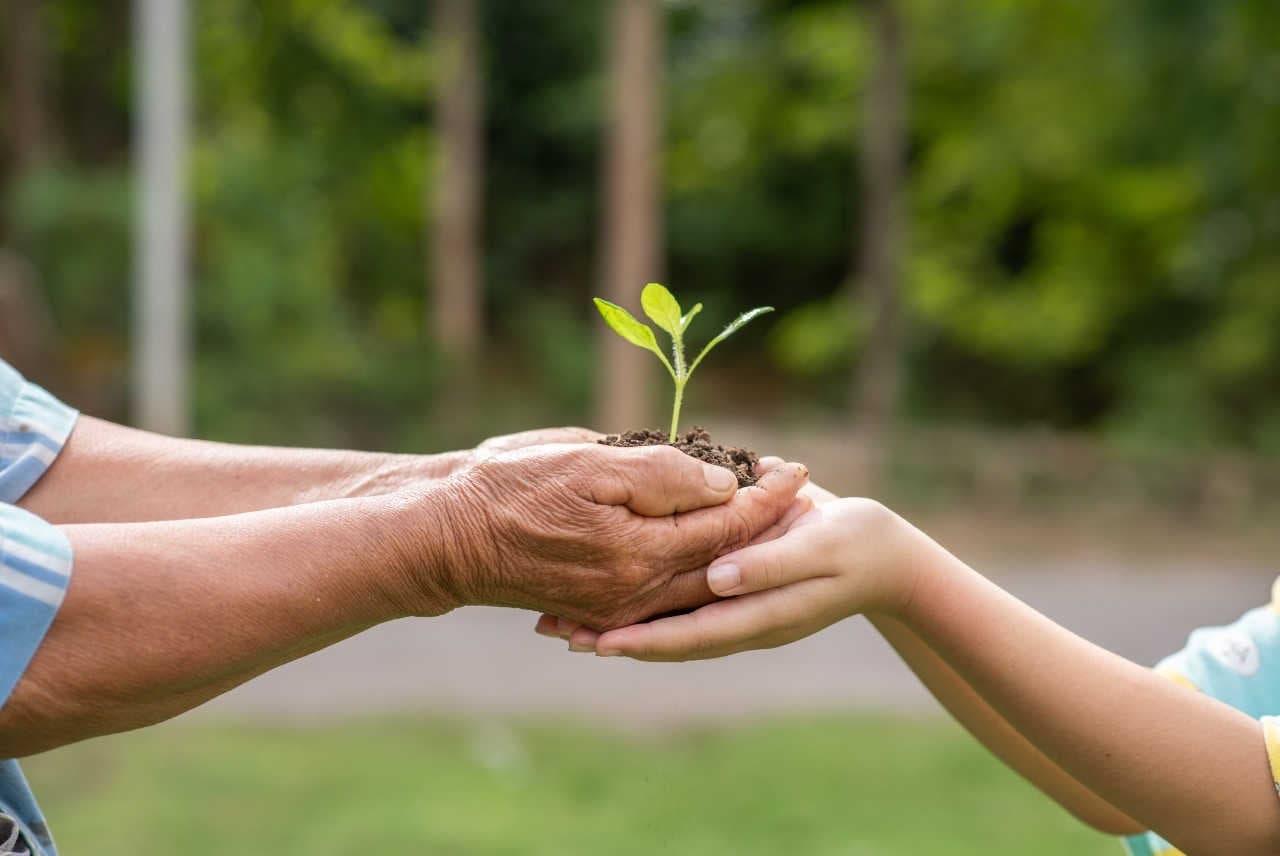 ESRS E4: doppia materialità dedicata alla biodiversità