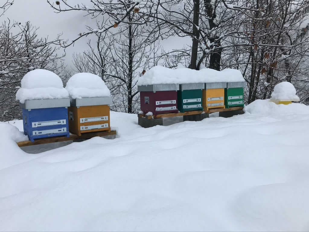 Perché regalare sostenibilità a Natale con 3Bee?