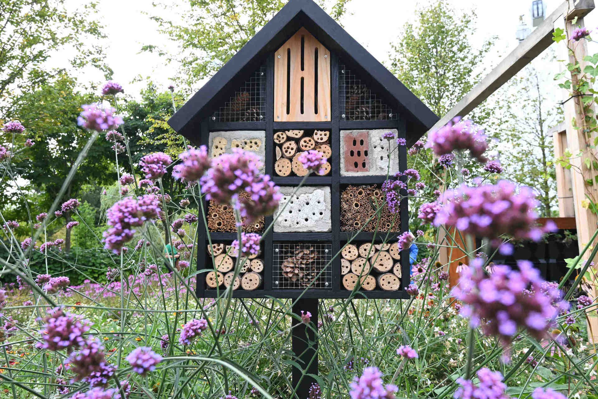 Des villes pour les pollinisateurs